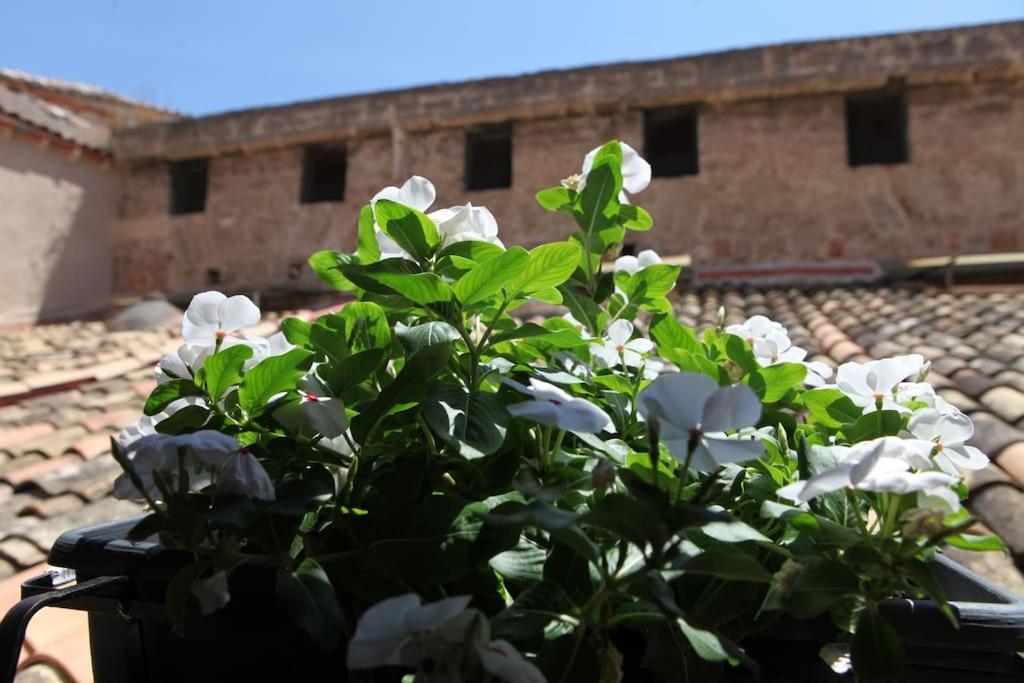 Sant'anna Home Palermo Exteriör bild